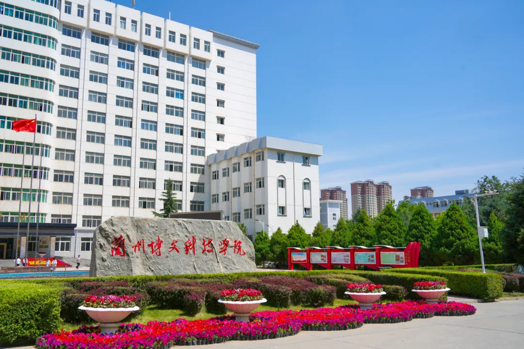 图片11